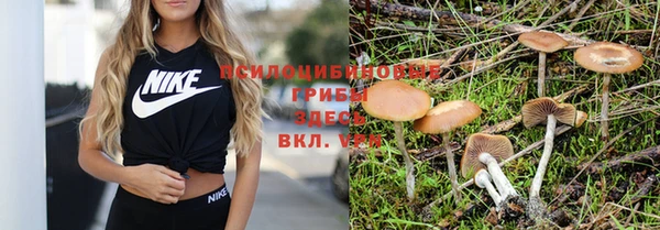 MDMA Пересвет