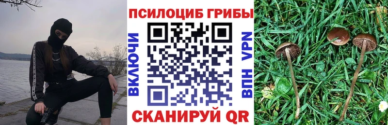 цена наркотик  Курчатов  маркетплейс как зайти  Псилоцибиновые грибы прущие грибы 