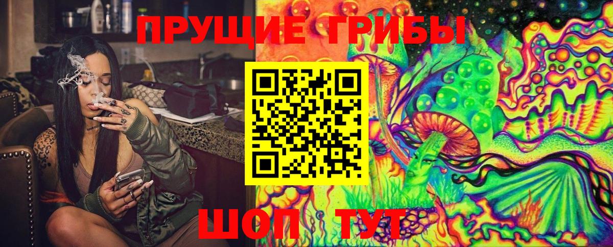 Курчатов  где купить наркотик  Галлюциногенные грибы Cubensis  Вход с VPN  Галлюциногенные грибы Psilocybine cubensis 