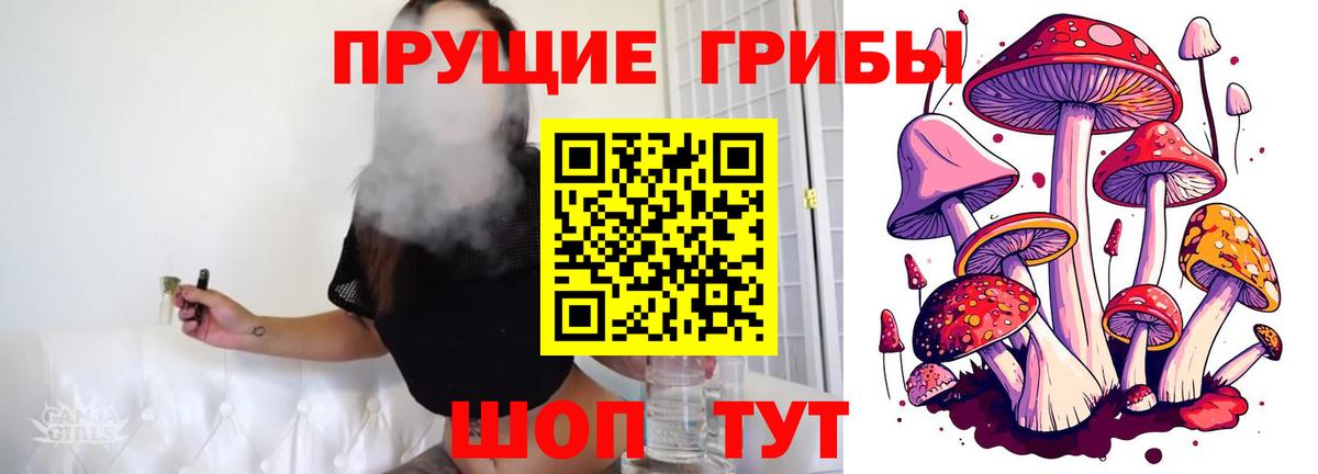 купить наркотики сайты  Курчатов  Псилоцибиновые грибы мухоморы 