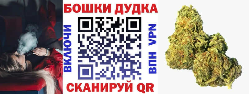 мега зеркало  Курчатов  Бошки марихуана SATIVA & INDICA 